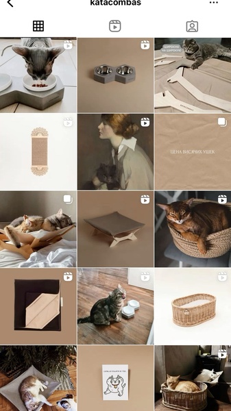 cat bed, pet bowl, cat scratcher, pet furniture, cat hammock, brand awareness, minimalist, lifestyle, calm, trustworthy, neutral, brown